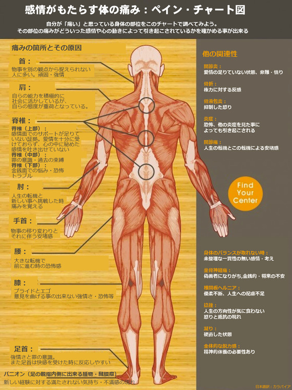 感情がもたらす身体の痛み：ペインチャート図』 | 東京都多摩市 ...